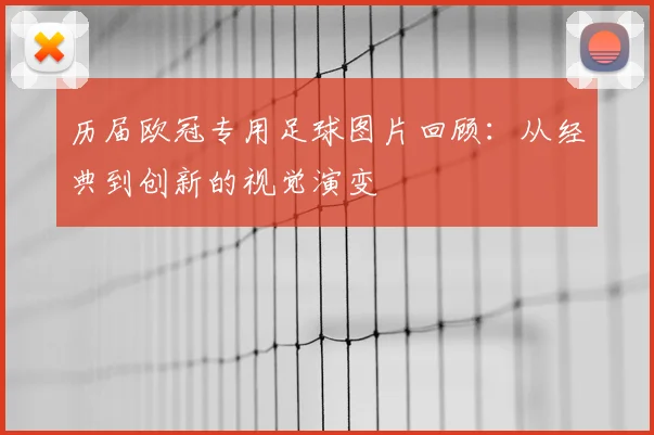 历届欧冠专用足球图片回顾：从经典到创新的视觉演变