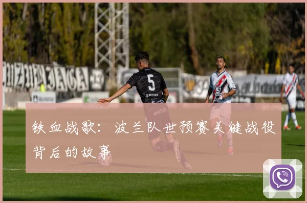 铁血战歌：波兰队世预赛关键战役背后的故事